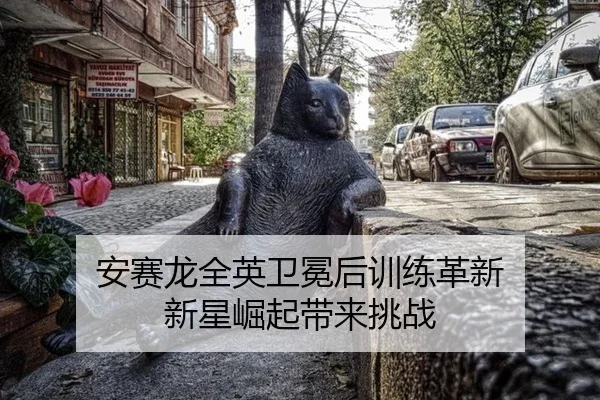 安赛龙全英卫冕后训练革新 新星崛起带来挑战