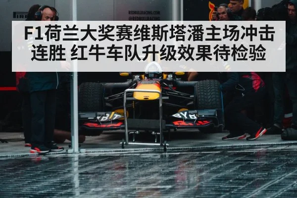 Max Verstappen Red Bull racing