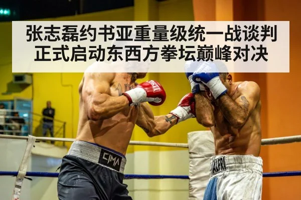 heavyweight boxing match